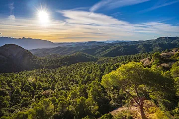 Parque Natural de Sant Llorenç del Munt i l'Obac, Cataluña, España